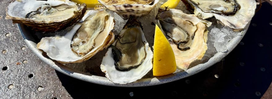 Béziers : visite dégustation de vin et d'huîtres dans la lagune de Thau