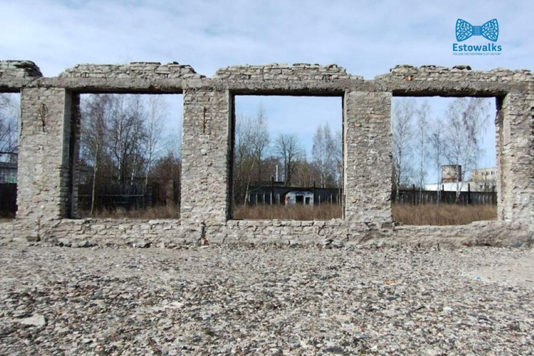 Kalamaja: od drewnianych domów do fabryk – wycieczka piesza dla inżynierówKalamaja: drewniane domy i fabryki – wycieczka piesza śladami inżynierów