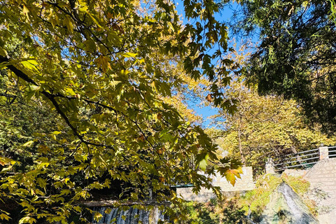 Thessaloniki: Pozar Thermal Baths & Edessa Day Trip