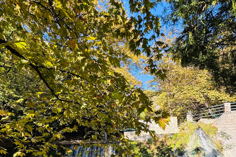 Thessaloniki: Pozar Thermal Baths & Edessa Day Trip