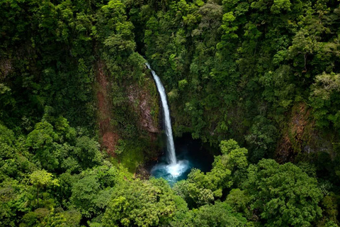 COSTA RICA:UPPTÄCK COSTARICAS VILDA DJUR-STRAND &amp; SKOG 2VECKOR