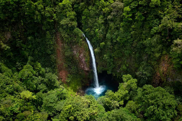 COSTA RICA:UPPTÄCK COSTARICAS VILDA DJUR-STRAND &amp; SKOG 2VECKOR