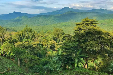 Z Addis Abeby: 6-dniowa wycieczka do Chebera Churchura i Halla Kella