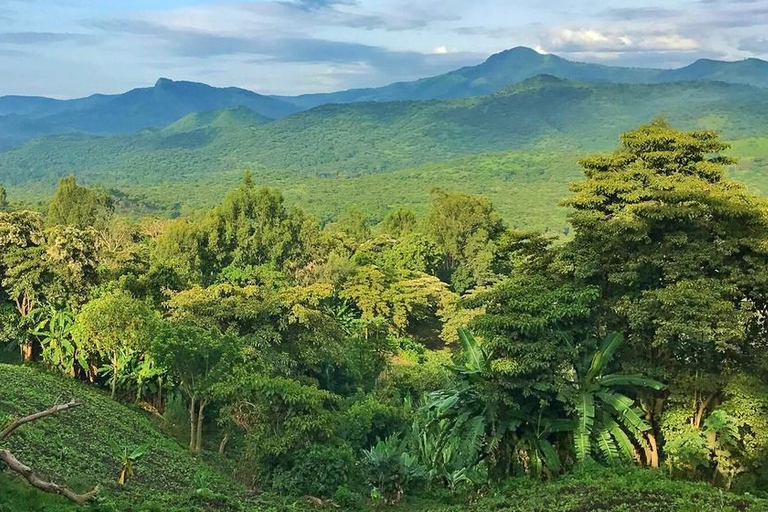 Z Addis Abeby: 6-dniowa wycieczka do Chebera Churchura i Halla Kella