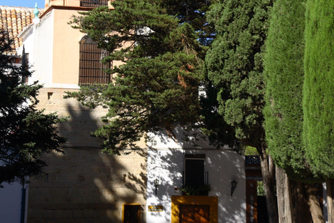 From Malaga: Visit Ronda and Setenil de las Bodegas FROM MÁLAGA - RONDA AND SETENIL DE LAS BODEGAS WITH GUIDED TOUR