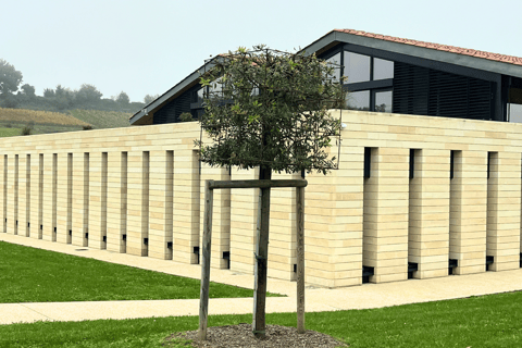 Bordeaux: Tour dei vini e dei vigneti di Saint-Émilion