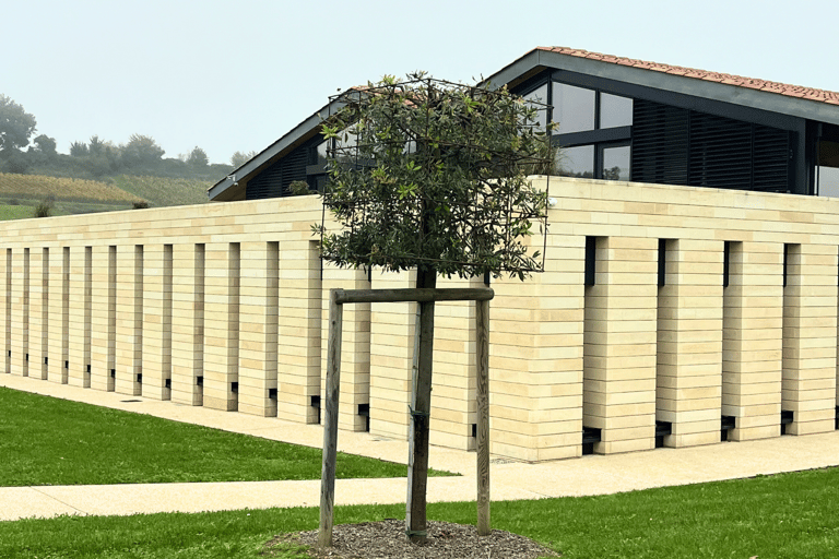 Bordeaux: Tour dei vini e dei vigneti di Saint-Émilion