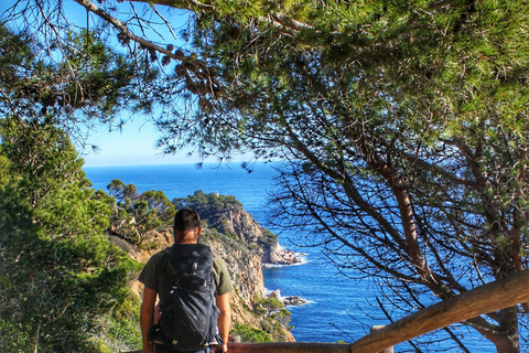 Costa Brava: Strände entdecken, wandern und schwimmenCosta Brava: Strandtour mit Wandern und Schwimmen