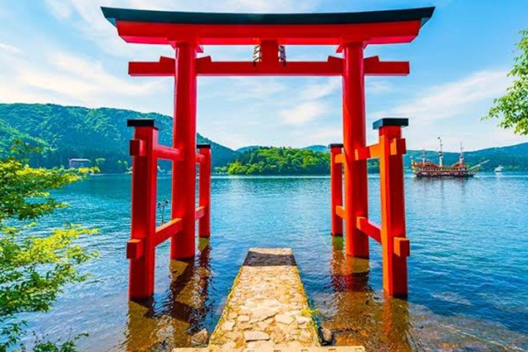 From Tokyo: Mount Fuji Full Day Private Customized Tour ITINERARY B: Mount Fuji & Hakone Customize Tour