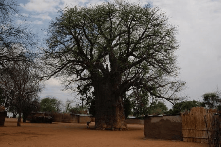 Wycieczka kulturalna na wyspę Impalila: Pas Caprivi