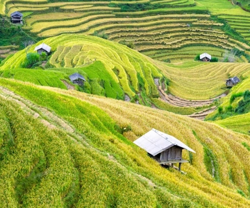 From Hanoi: Mai Chau Day Trip with Cycling and Lunch
