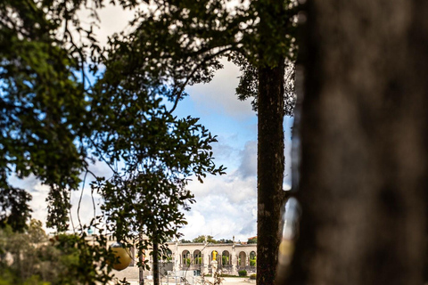 From Porto: Transfer to Lisbon with stops until 3 cities Transfer Porto - Lisbon with 2 stops