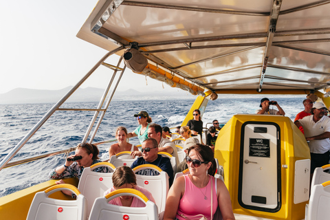 Lanzarote: boottocht bij zonsondergang en dolfijnen, 2,5 uur