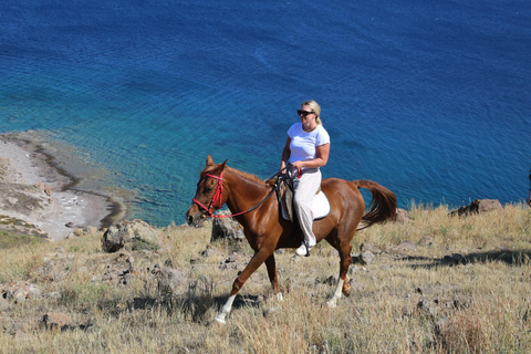 Bodrum: Horse Riding Experience with Forest or Seaside Route Seaside Horse Riding Tour (2 Hours – Beach Route)