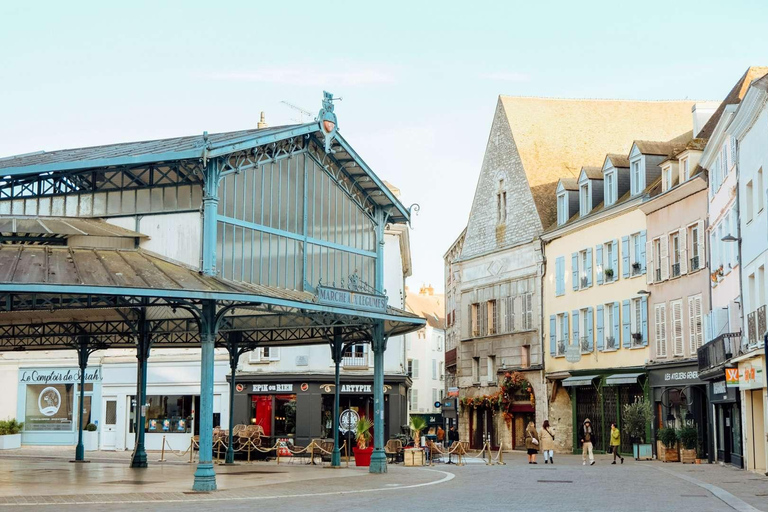 جولة خاصة في مدينة شارتر من باريس