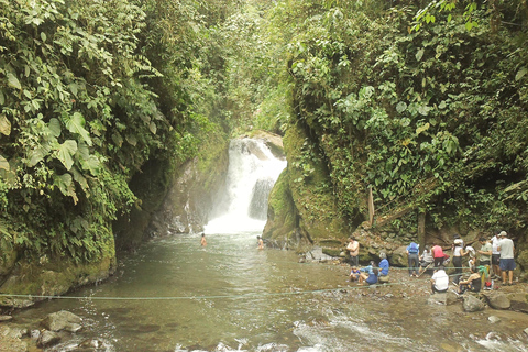 Bosque nublado de Mindo: Aventura y naturalezaMindo full day - Aventura y naturaleza - transporte público