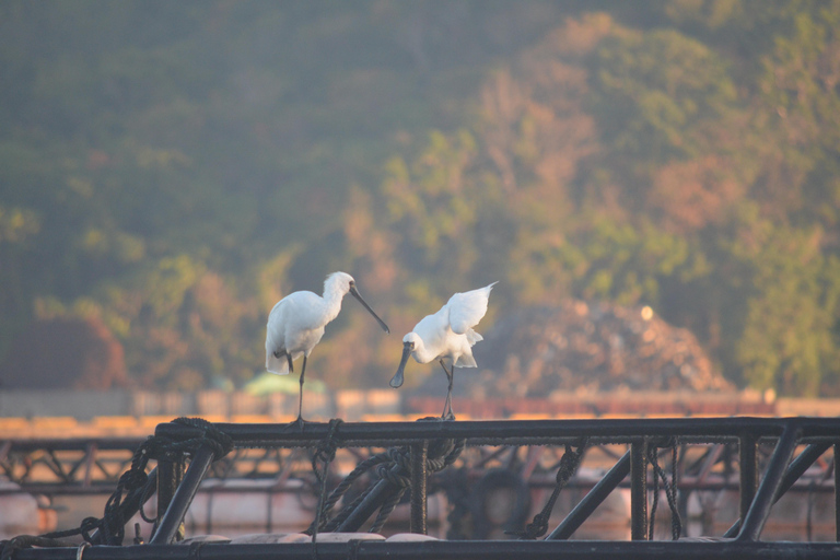 Okinawa: Private Full Circle Island Kayak Tour in English