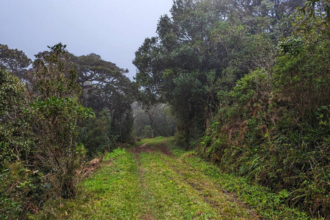 Thangappuwa Falls: Explore One of Knuckles’ 7 Cascades