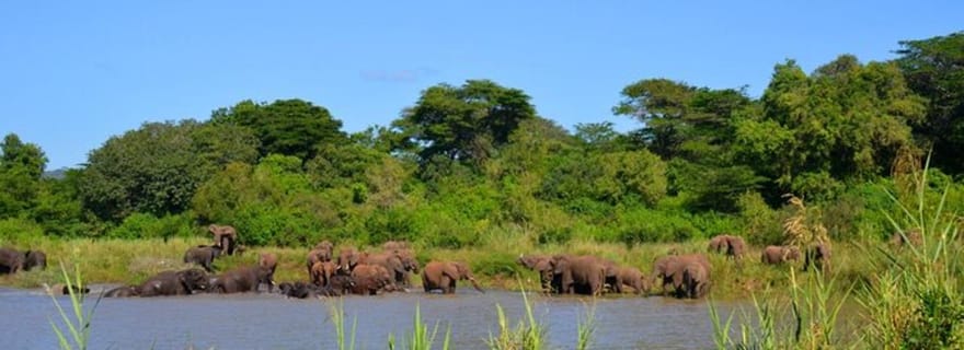 Richards Bay : excursion au parc Hluhluwe Imfolozi