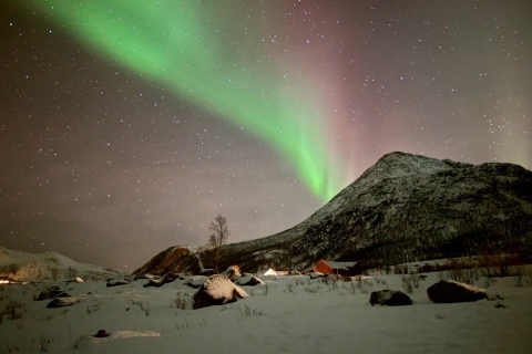 Tromsø: Wycieczka po zorzy polarnej z gorącym jedzeniem i napojami