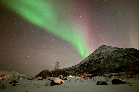 Tromsø : Visite culinaire des aurores boréales avec repas et boissons chaudes