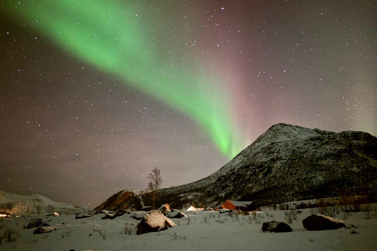 Tromsø: Wycieczka po zorzy polarnej z gorącym jedzeniem i napojami