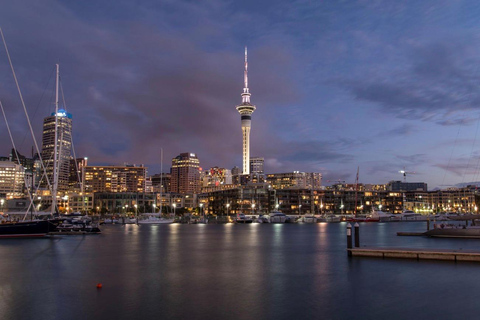 Auckland Harbour Dinner Cruise with Buffet Dinner