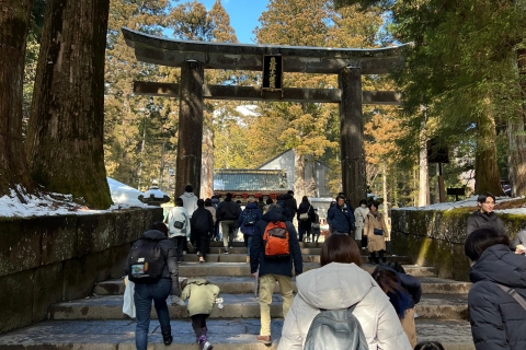Z Tokio: Prywatna 1-dniowa wycieczka do zabytków Nikko