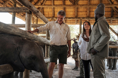 Maun: Elephant Havens Helicopter Experience