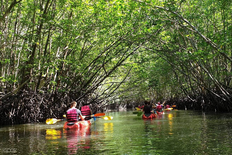 Ko Lanta: Tour di mezza giornata in kayak con mangrovie e pranzo