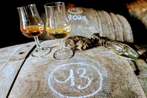 Cognac: prywatna półdniowa wycieczka - zwiedzanie i degustacje - 4x4