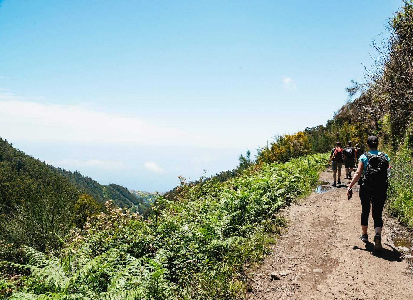 Madeira: Nyd en guidet gåtur i Levada i Rabaçal-dalen