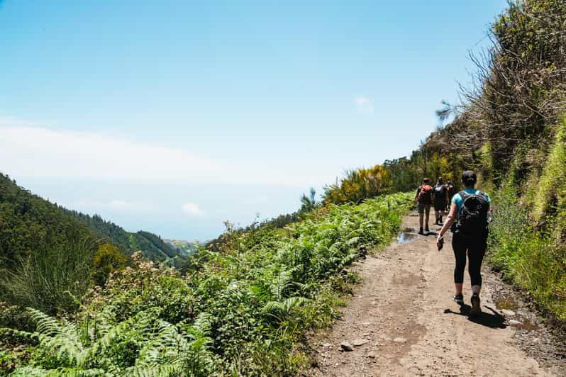 Madeira: Enjoy a Guided Levada Walk in the Rabaçal Valley | GetYourGuide
