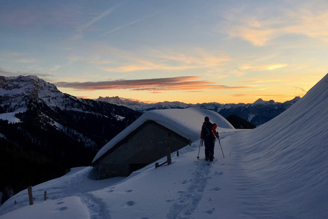 Montreux: Snowshoe Trek with Fondue and Wine