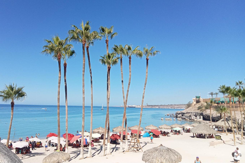 Incredible Private Tour to Balandra and Todos Santos Private Tour La Paz and Todos Santos from 1 to 6 People