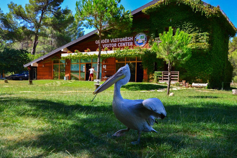 Durrës: City Tour & Karavasta Lagoon Day Trip