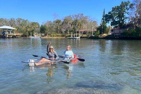 Crystal River: Three Sisters Spring Manatee Clear Kayak Tour