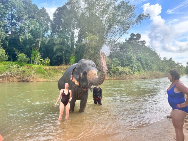Visit Khao Sok Elephant Day Care, Cooking Class, & Bamboo Raft in Parco Nazionale di Khao Sok