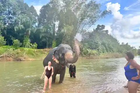 Khao Sok: Cura degli elefanti e tour di un giorno di rafting con i bambù
