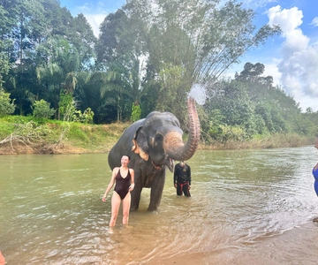 Khao Sok: Elephant Day Care, & Bamboo Rafting Day Tour
