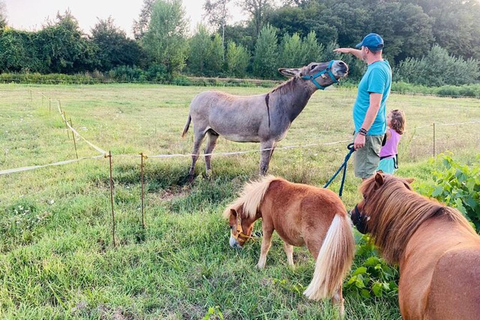 Florença: Visita ao campo com prova de vinhos e aula de massasFlorença: Passeio pelo campo com degustação de vinhos e aula de massas