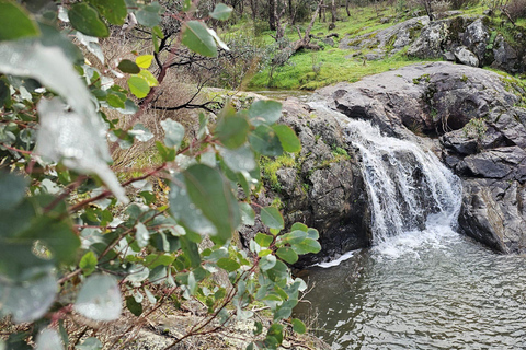 Perth: Caminhada de resistência extrema no Parque Nacional Serpentine