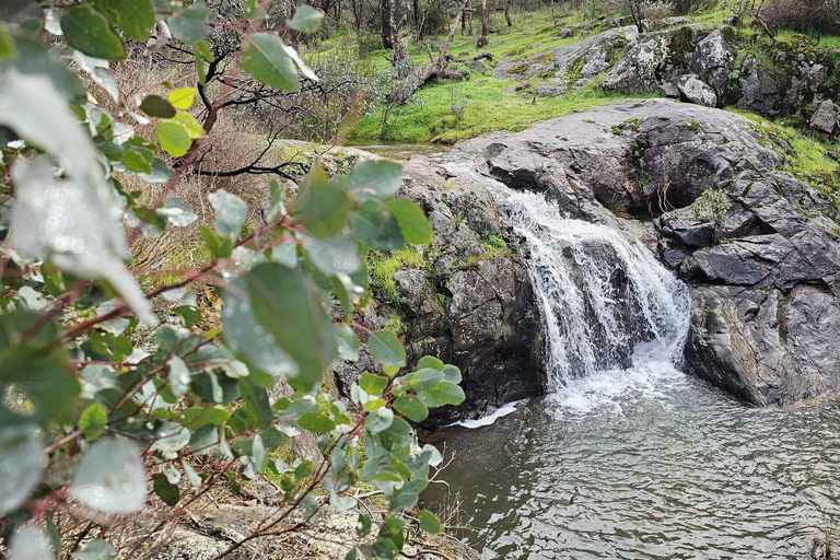 Perth: Caminhada de resistência extrema no Parque Nacional Serpentine