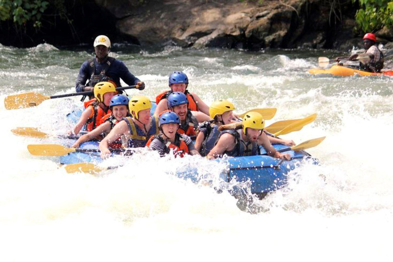 Jinja: Nile River Whitewater Rafting with Lunch