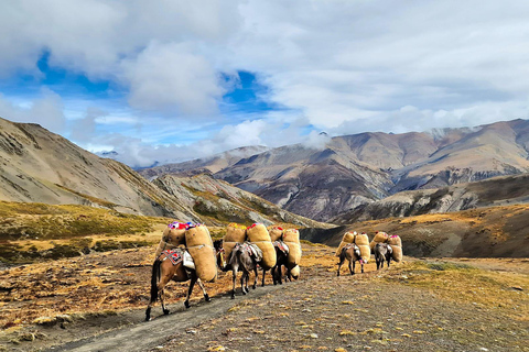 Upper Dolpo Trek - 24 dagar