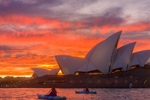 Sydney : Excursion en kayak au coucher du soleil dans le portExcursion en kayak double au coucher du soleil