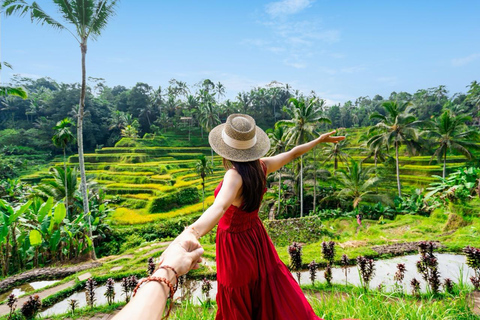 Ubud: Waterfalls, Water Temple & Monkey Forest Shared Tour Shared-Group Tour with Hotel Transfer