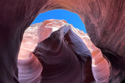 Antelope Canyon : Excursion dans le canyon de Rattlesnake