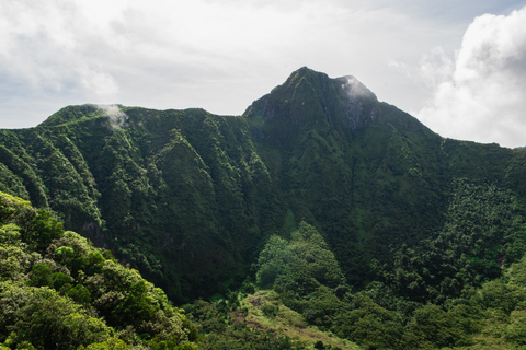 Saint-Kitts Randonnée au volcan Mount LiamuigaSt Kitts Randonnée au volcan Mount Liamuiga