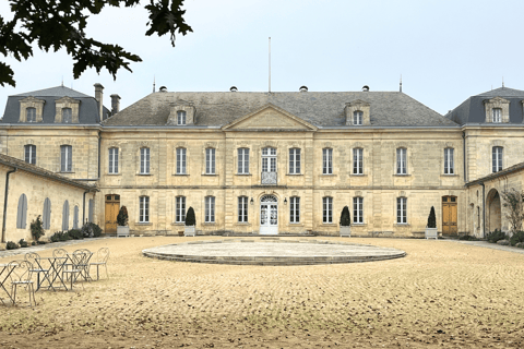Bordeaux: Tour dei vini e dei vigneti di Saint-Émilion